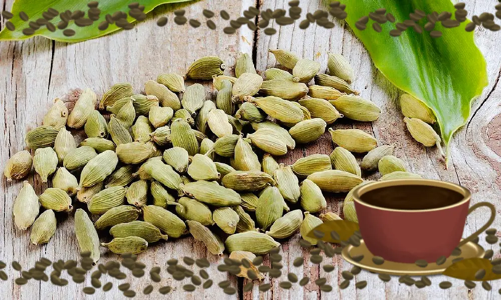 الهيل الطبيعي المستخدم في بن العميد الكويتي